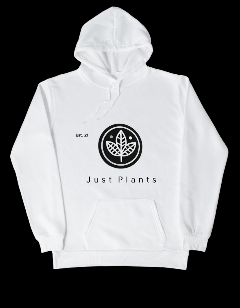 Captura de pantalla 2025-07-29 a la(s) 11.59.17 p. m.